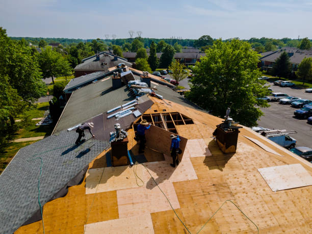Best Flat Roof Repair Services  in Sussex, WI