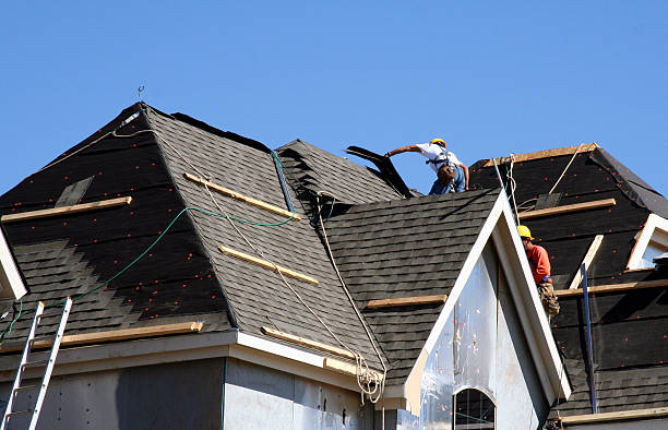 Best Storm Damage Roof Repair  in Sussex, WI